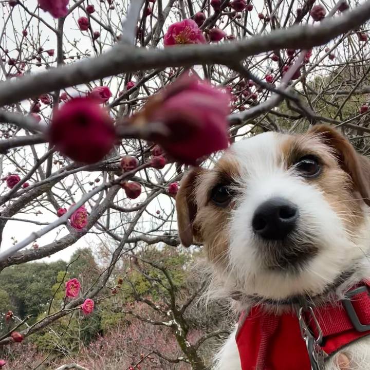 3dbf3a74 a016 481d bb5c 7e4a78b005b0 1739684860219