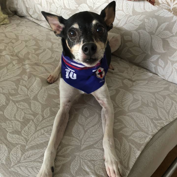 3dbf5276 f432 4674 a766 59dc4b9681e8 1529834649143