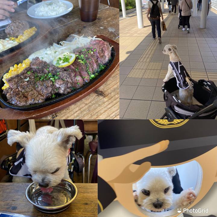 3dbf999f bc7e 46fd 8e3a 636f0e8dbc5a 1633169323347