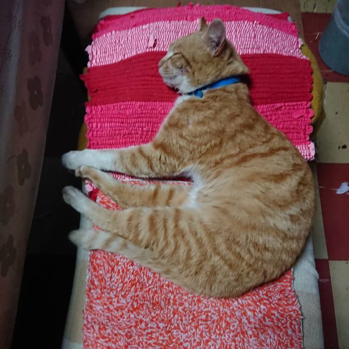 3dbf9b13 3c1d 4fb6 85b2 16c35fbabbeb 1555362488345