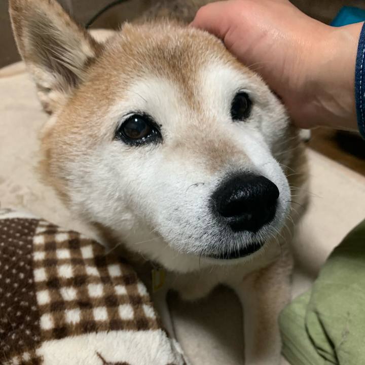 3dbfb6aa a8d1 4085 8972 ebb8222ceb99 1583923136385