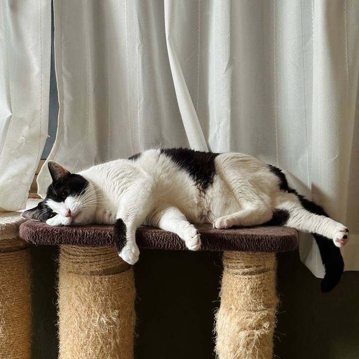 3dc00f23 f5c1 44fa 92c7 256076b8d60e 1711850190801