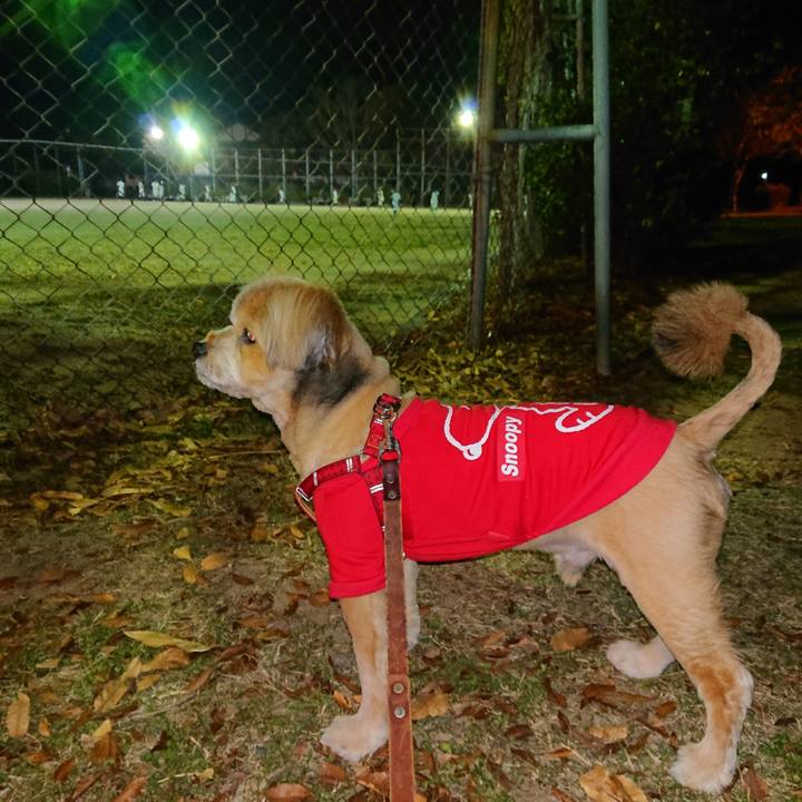 3dc00fea cfd0 4da5 b51c c3f96a3f7e72 1606903611340