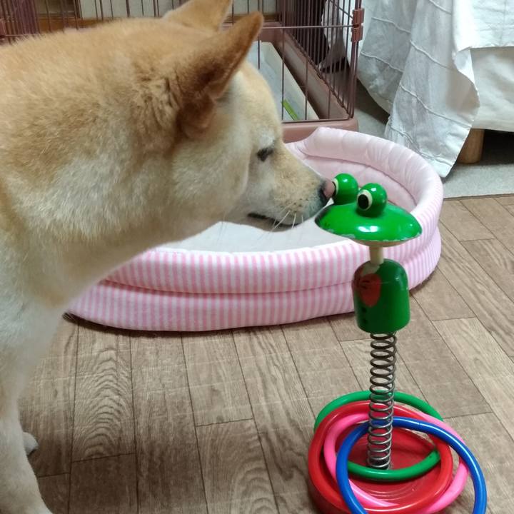 3dc048da 466a 4fde 884e 6773acde6f1c 1595555360785