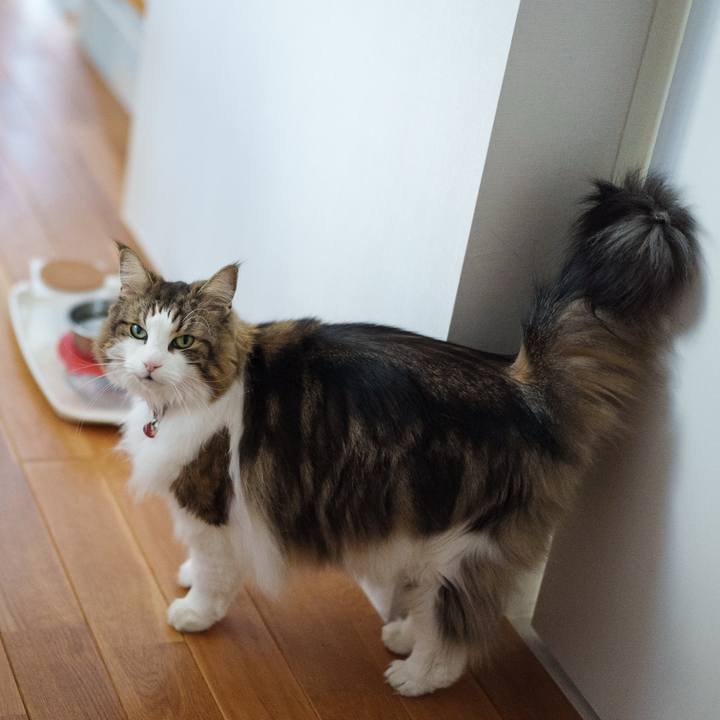 3dc09ae9 bf28 4bbc 82ca d62244673f51 1738223275459