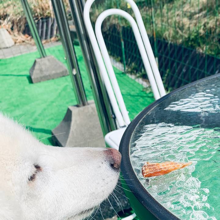 3dc0d38f b66e 4ac6 8cd5 53d40f8c9f0f 1588485218715