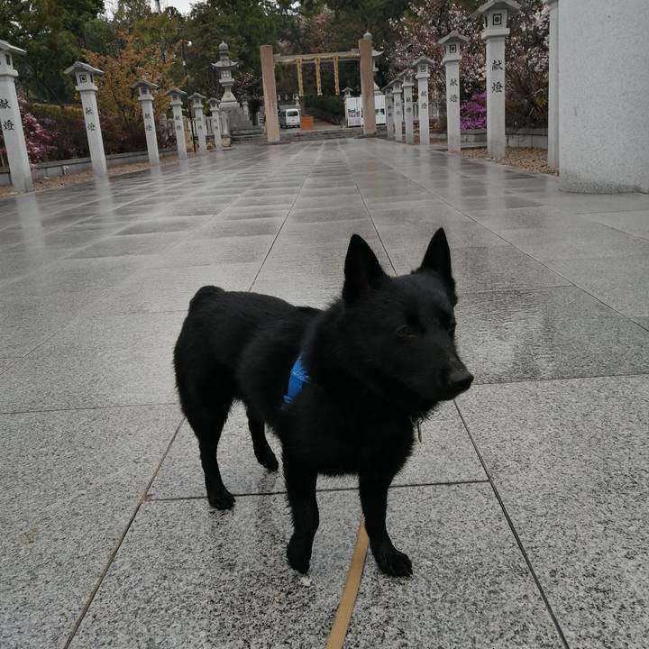 3dc1170c 6166 428a 9d4b 7f2cd78d9c4c 1616888394004