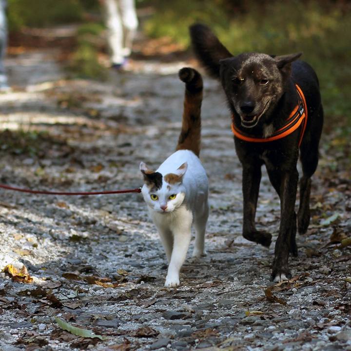 3dc121bd 22ed 4285 83b0 97cfeff8392a 1605225095881