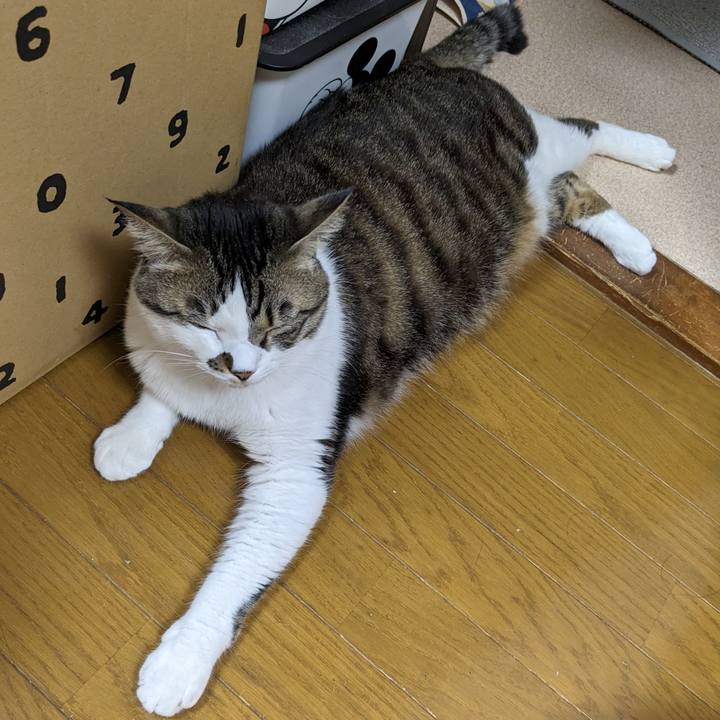 3dc138fe 89bf 4c41 b8d3 882ac2f63d94 1679057073022