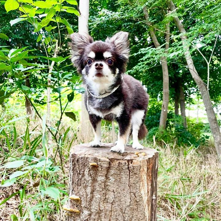 3dc1741d d036 406e 8529 46b3c627d64e 1755043172621