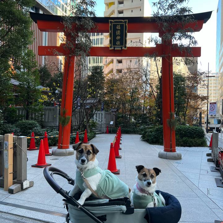 3dc17476 9850 4173 bfab e0d1b57d584a 1672660747943