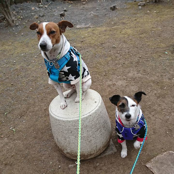 3dc18cd6 79d6 4e88 b35b cde678807ffc 1610669485011