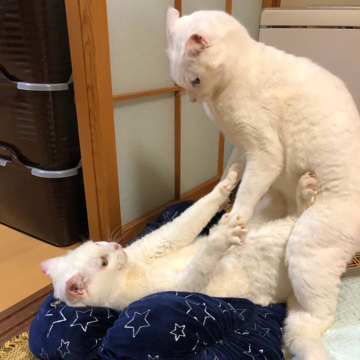 3dc195bb bae9 4c21 b1af 081a8fe1f757 1552290319219