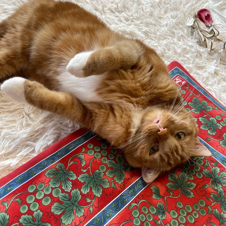 3dc1aadc d3b3 432a 9ca9 7806ef3ac198 1626921588828