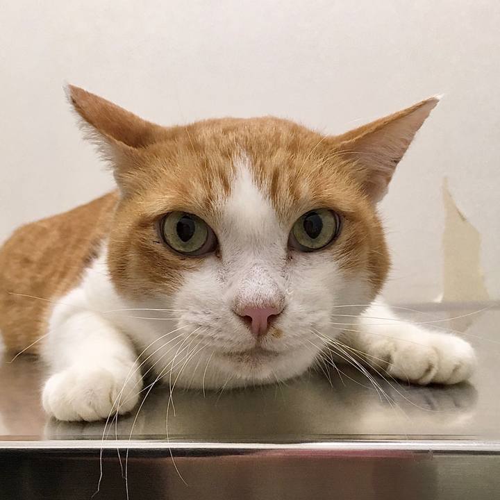 3dc1b70e 758d 4da1 9542 7fc7361ab6ed 1572242132086