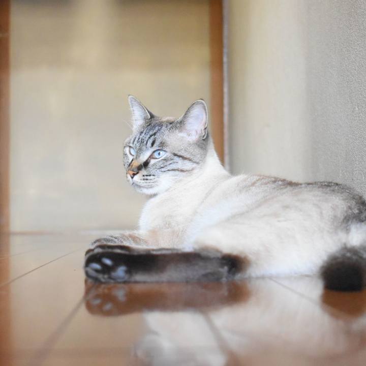 3dc1ba7c 8716 440c a794 c4e44b3788f7 1529046909046