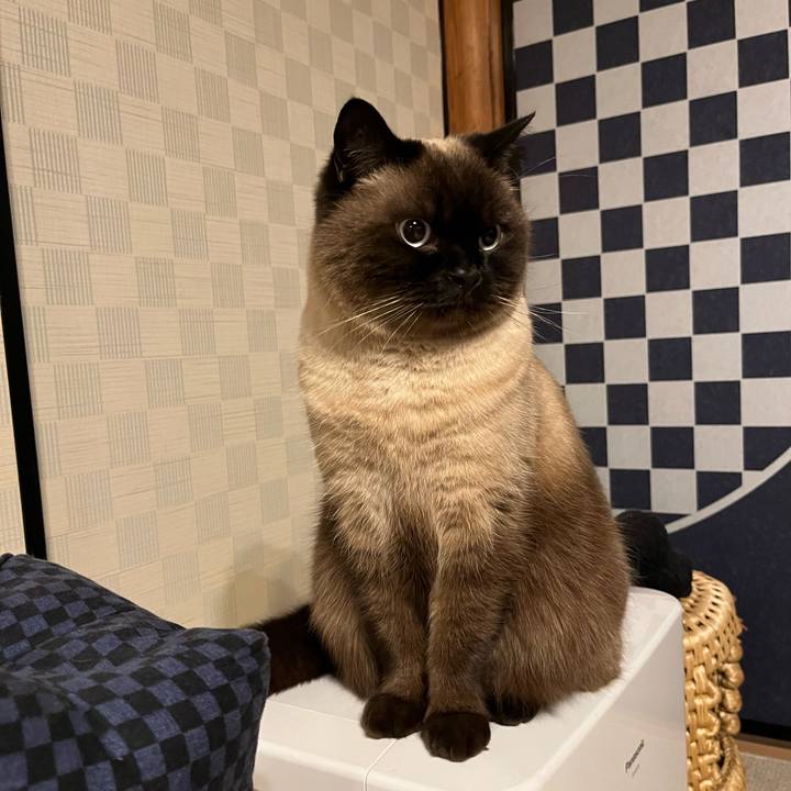 3dc1d5eb 79a4 4928 a1fd 35b948a749eb 1676168061842