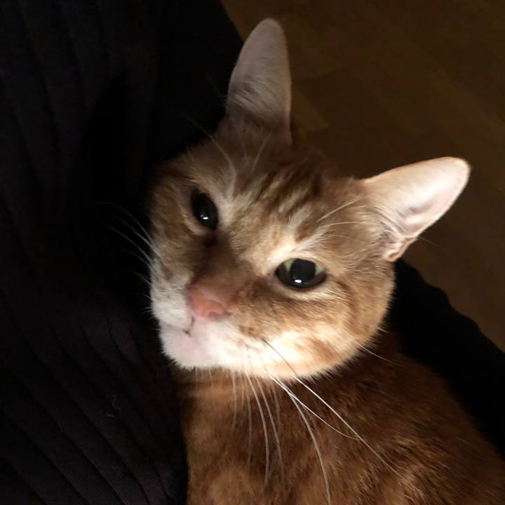 3dc1dccf 7769 49fc bf27 7865cda7cb2b 1665518148897