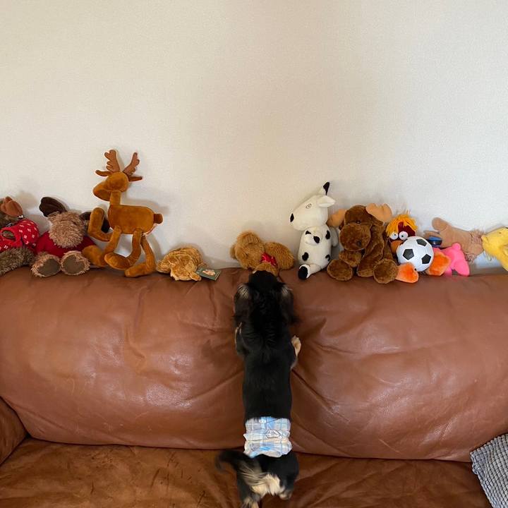 3dc26f21 389e 4150 ba71 52e004853c78 1676591663982