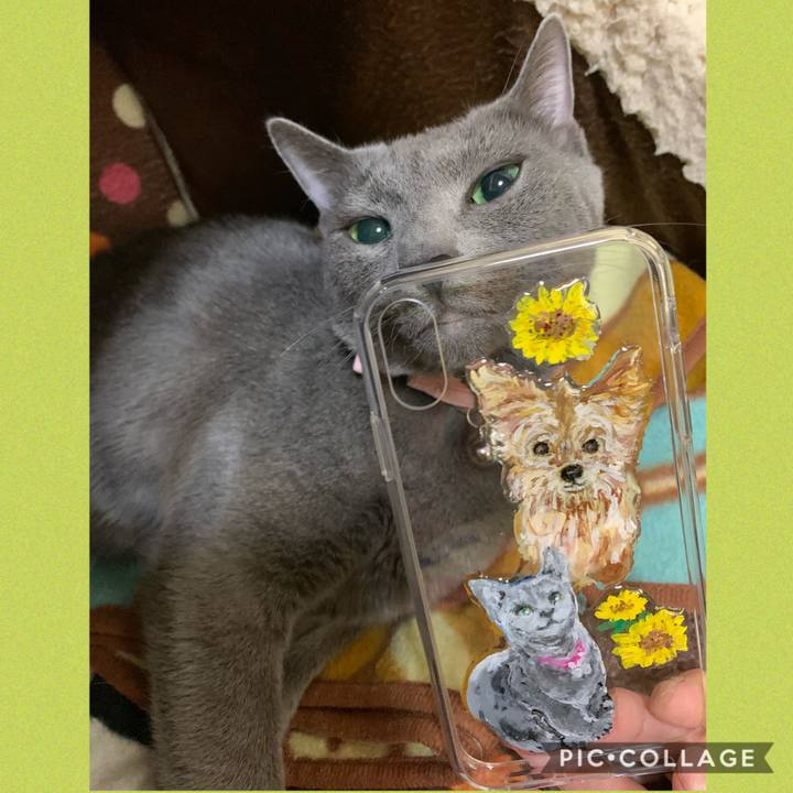 3dc27ac5 f400 43dc bd35 d34740ac4a30 1588582482071