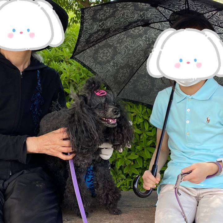 3dc2a0cf 607c 49b9 b0fe f2d275ad46ef 1683093123573