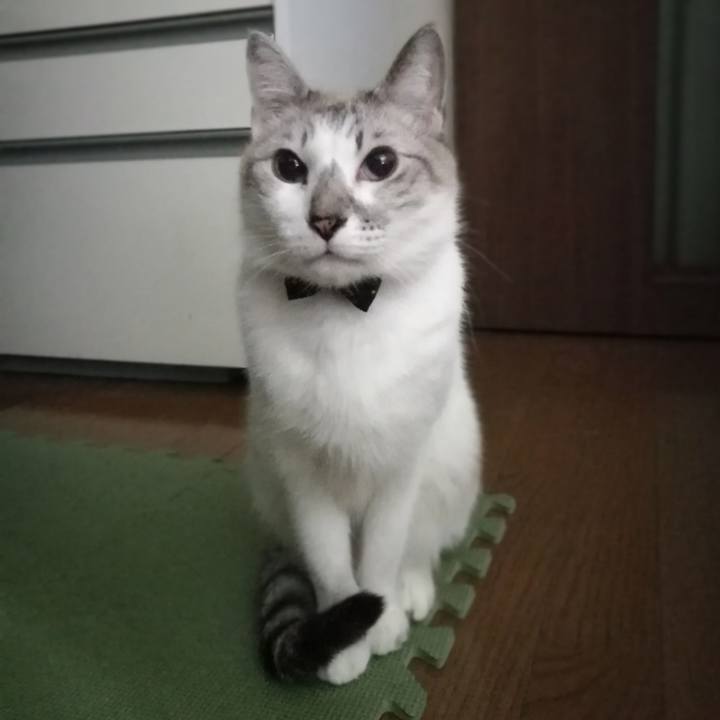 3dc2b3bc 9550 403e a0da 6d729c671c25 1518263186167