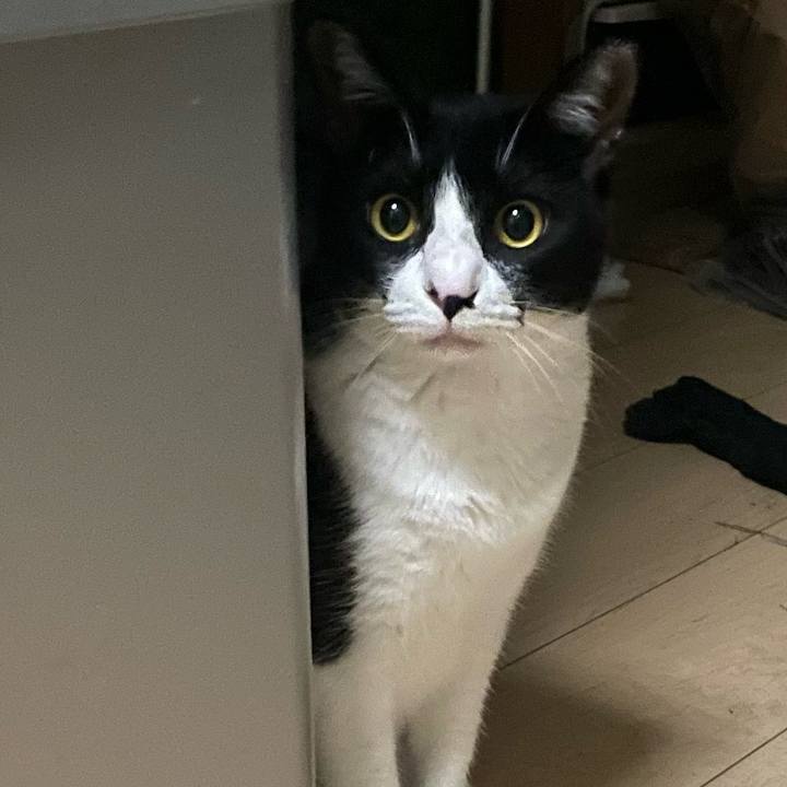 3dc2c416 2759 412b 8a5e 700c515e8ce7 1723820470403