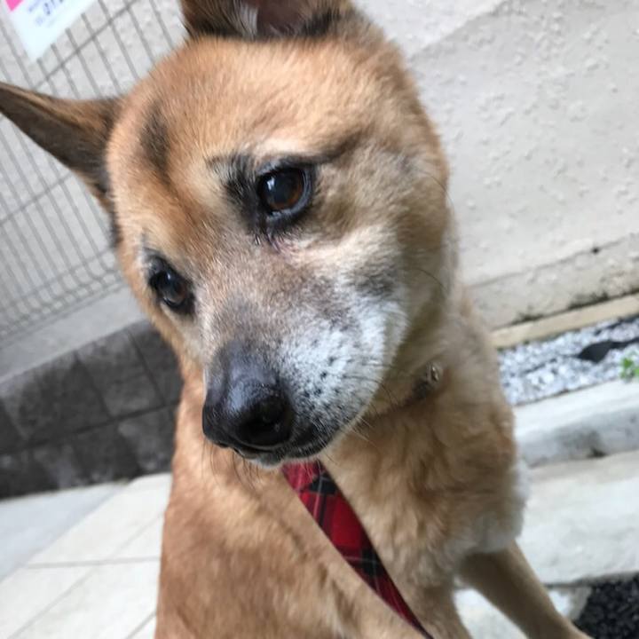 3dc2e24f 54d6 4bf9 a0ae dbceda62e0df 1520291929321