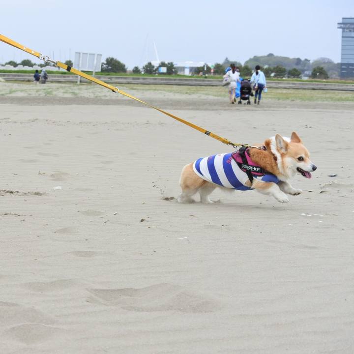 3dc30f96 7d07 4ded b752 c9bf0022bad6 1714227955244