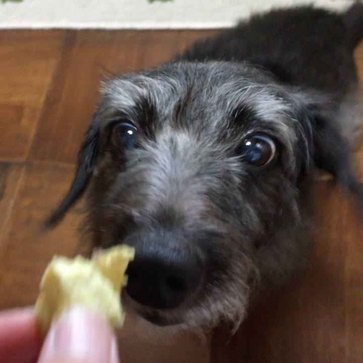 3dc338dc db52 4f71 a31a 71319e2b3767 1538001351973