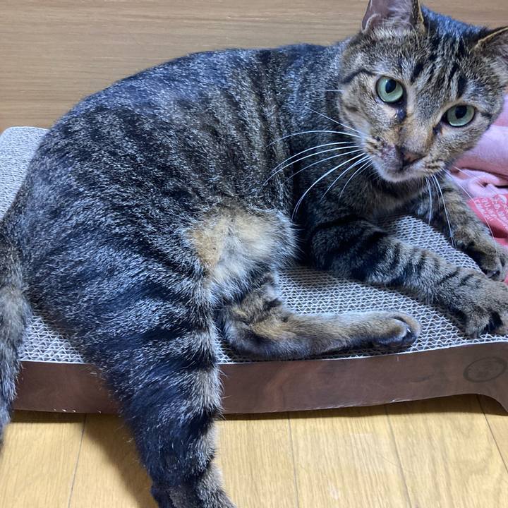 3dc34210 2ded 41f1 900d 85ffd2f880b1 1654258929051