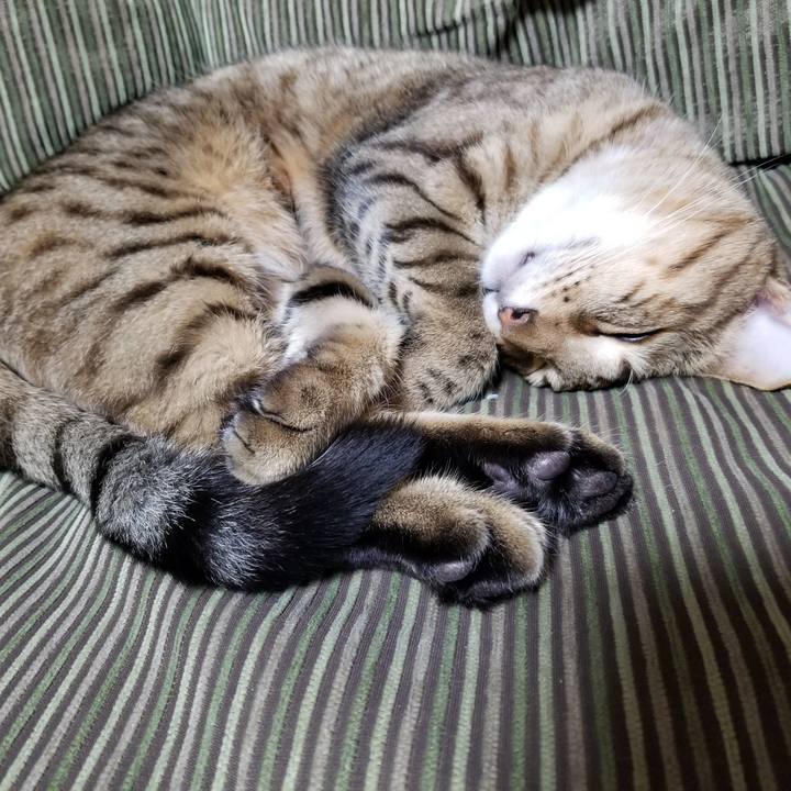 3dc38549 1c3c 469b 860a 5abe3727ec6f 1641471991827