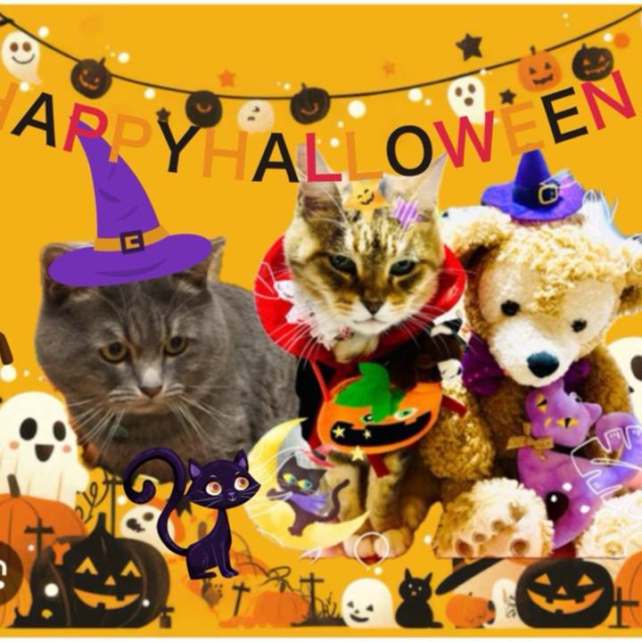 3dc3a470 5033 4edd b3b5 5b620917a9cc 1761865691618