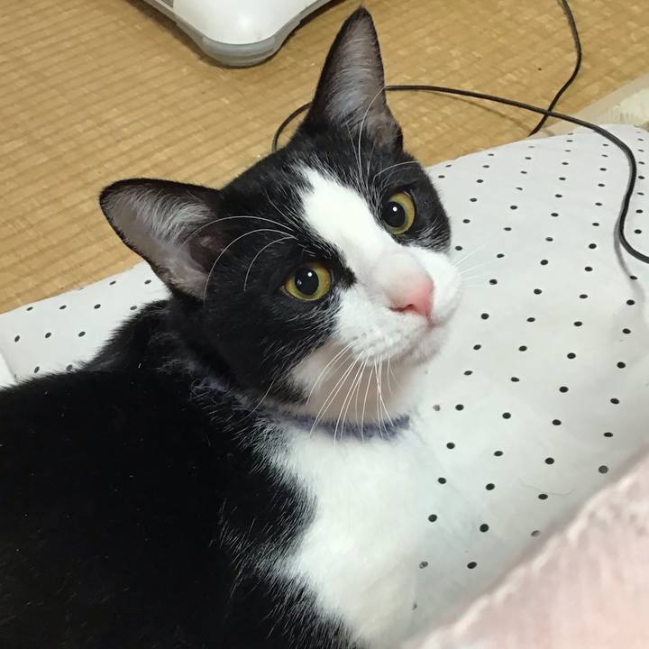 3dc3d0e6 81e8 4509 a413 9927129b5ee8 1641263421366