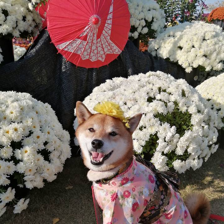 3dc3d724 f02d 4bf7 85ac 07378c280eb7 1606044234021