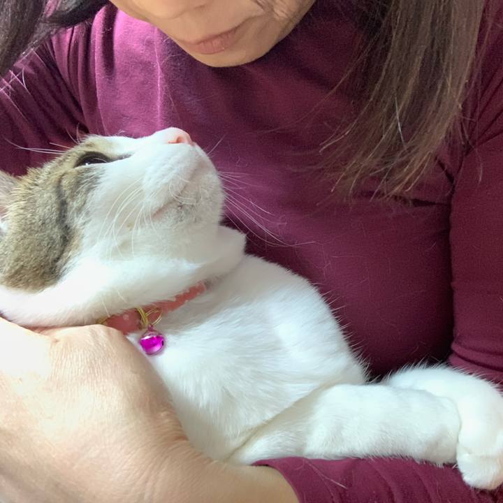 3dc3ed44 d0a2 49f9 8d47 cc7877346413 1583754543507