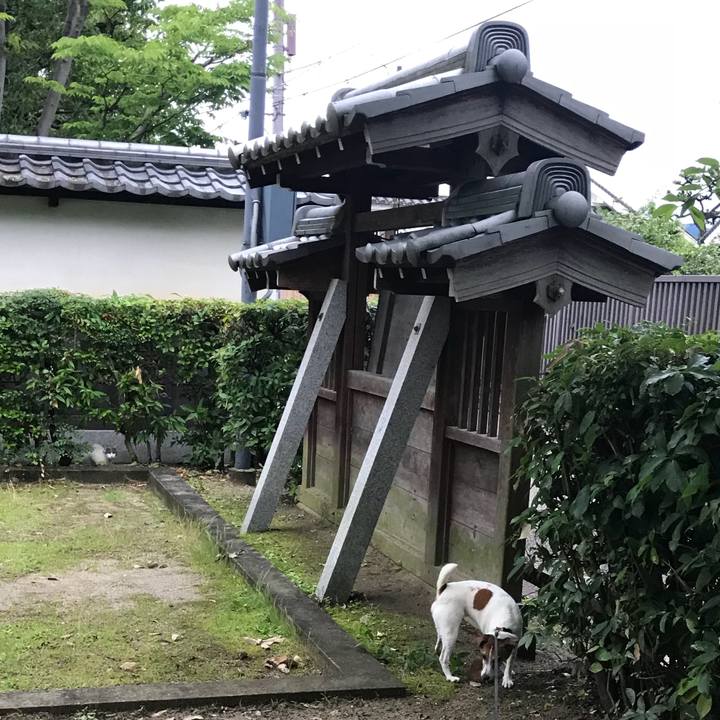 3dc3eebe 02f9 4ffb 9375 64097568a797 1529748299565