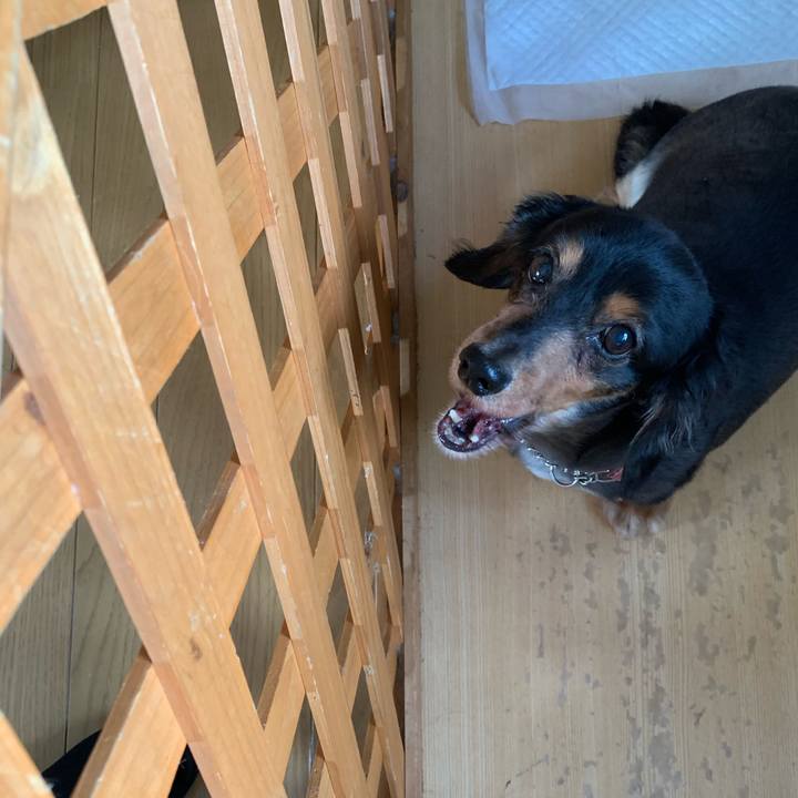 3dc41e7d 2d07 4686 9a54 81cefe07d391 1593382497478