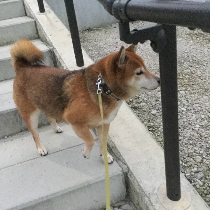 3dc41eb0 16c7 4b59 ac12 95c5376f2e7b 1602663972862