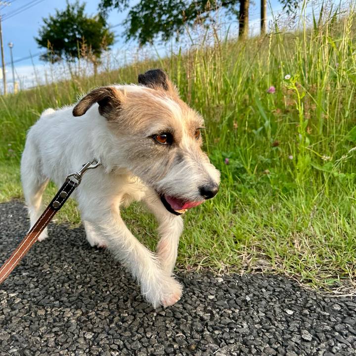 3dc42992 d6da 4023 b8b5 b7cf615a3149 1748438630498