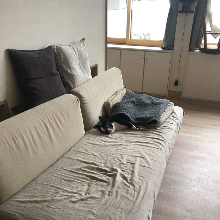 3dc45bbc 44bb 4bca 93c7 e5d5009821af 1721177312673