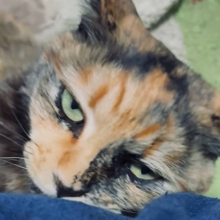 3dc4603f 7783 4e5b ad92 2d89bffd9911 1745952440289