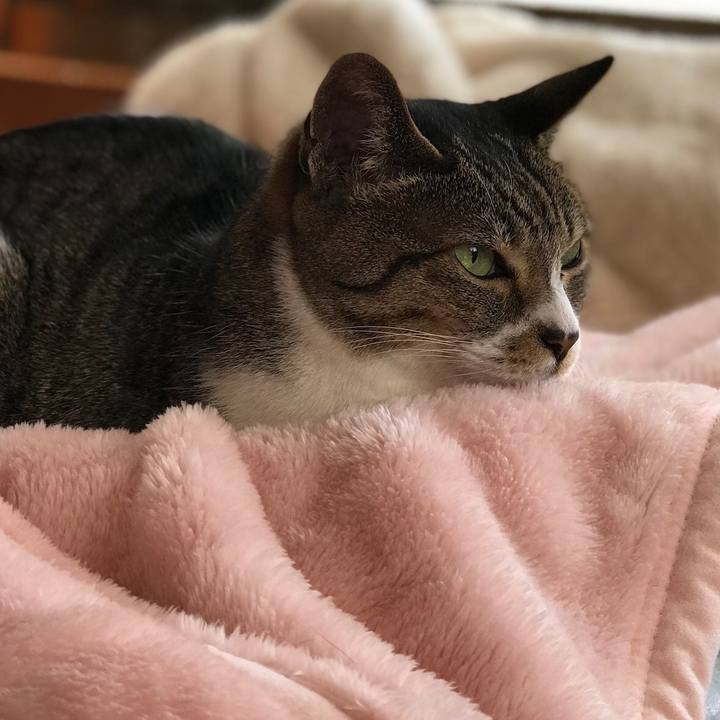 3dc4885a 2f02 44d7 80c5 944c9a3e0a12 1520126274803