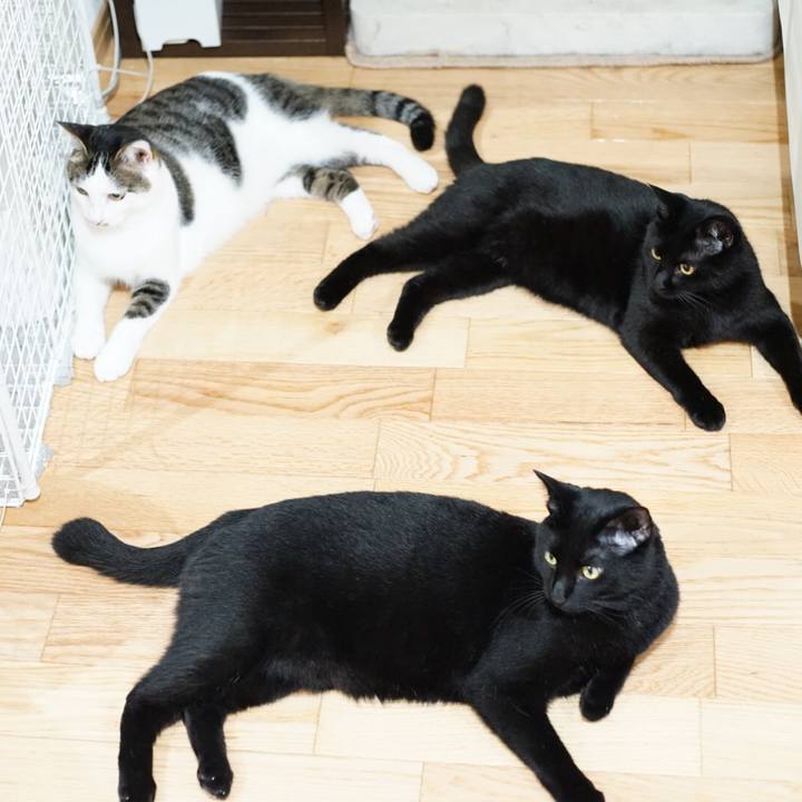 3dc4b462 778d 4c09 80aa 3813999f9ccd 1531577478153