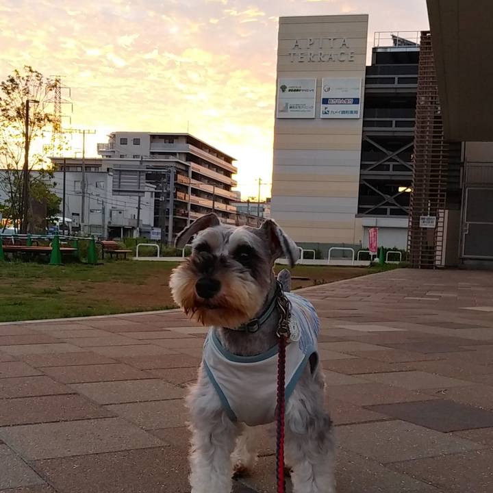 3dc4effd d19b 4dae 91a2 32002ac69f94 1570048723498