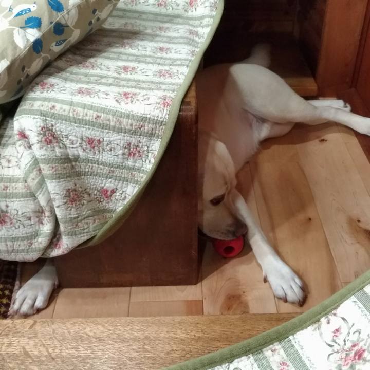 3dc50b80 df15 40e7 a98f 739caa88dd34 1721569870311