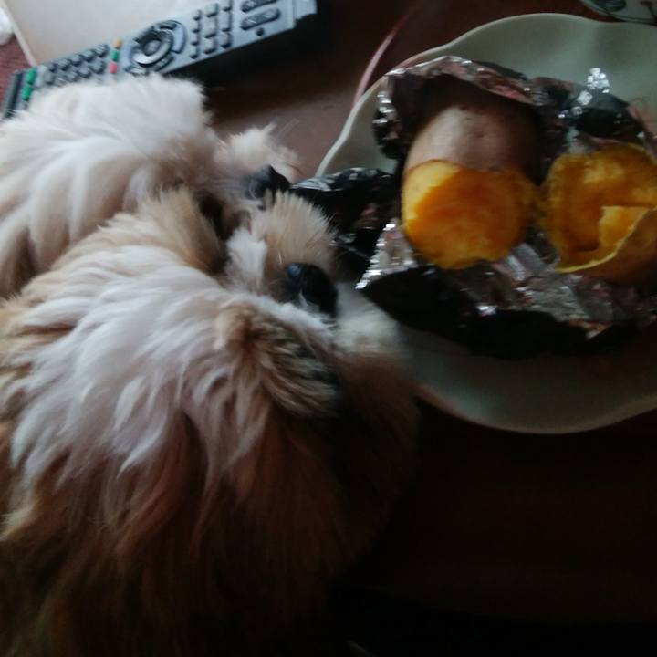 3dc51d6c 5e39 4e13 82c4 96e67aae5715 1539228118690