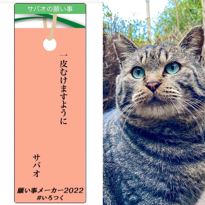 3dc52e50 6fd3 4baa b93c 715879fea184 1657058157066