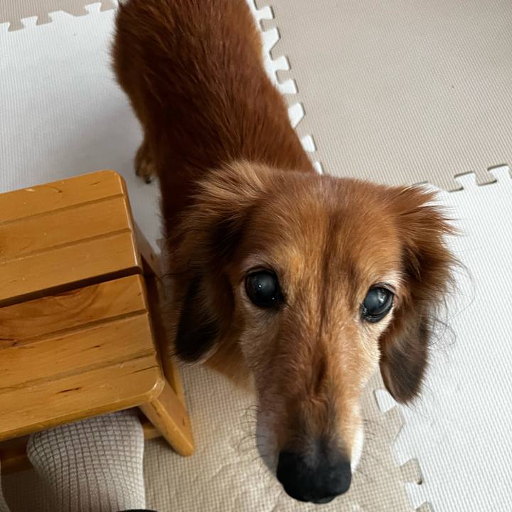 3dc548c2 aa88 4463 a8fc 6443abd1d02e 1668779226250