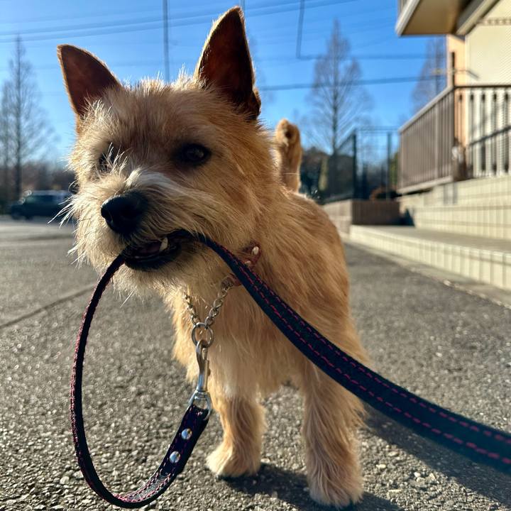 3dc56176 19ce 427a 9615 651f59174302 1739112770882